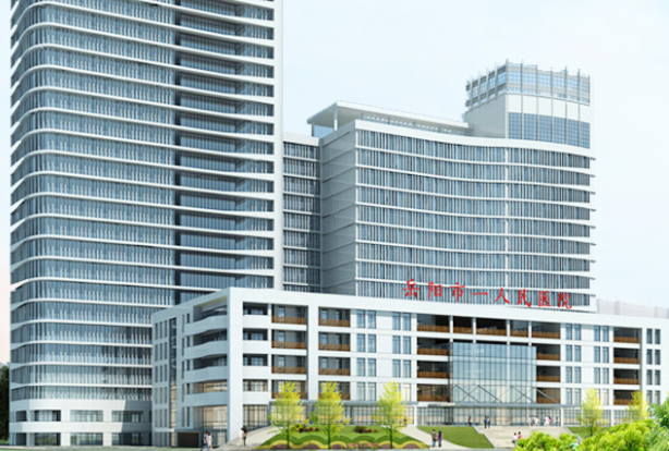 长沙彩运网为岳阳市人民医院提供600kw康明斯发电机一台