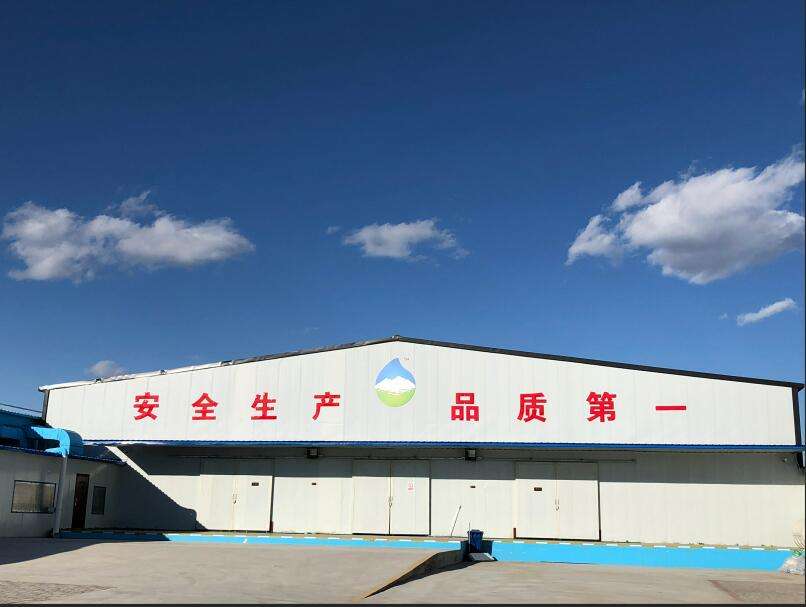 湘潭纯净水公司安装彩运网350kw潍柴发电机一台