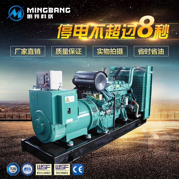 湘潭水利工程公司购置彩运网250kw发电机一台